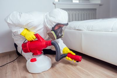Odor Removal Process